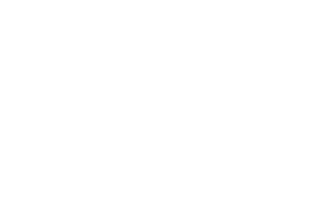 5 Senses Cuisine, Nigerian Fusion